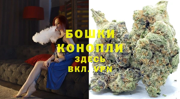 ПСИЛОЦИБИНОВЫЕ ГРИБЫ Баксан