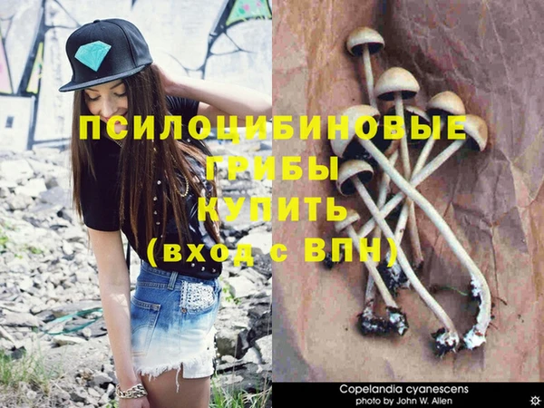 кокс Балабаново