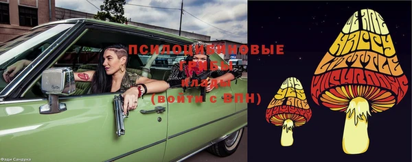 ПСИЛОЦИБИНОВЫЕ ГРИБЫ Баксан